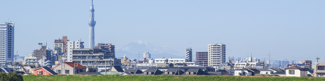 カテゴリー画像