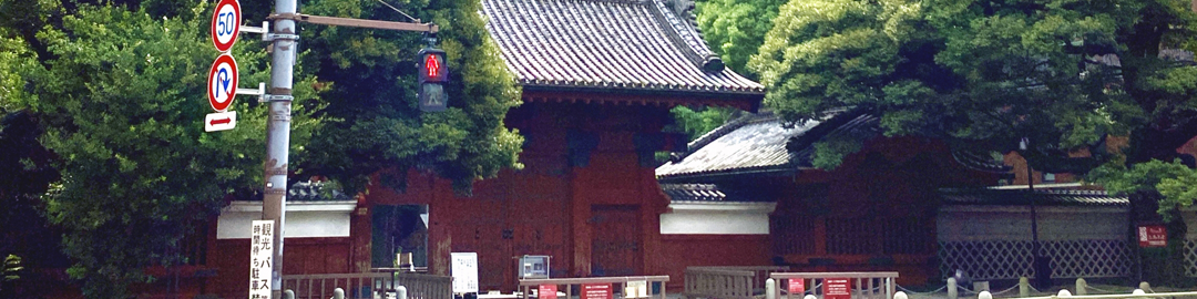 カテゴリー画像