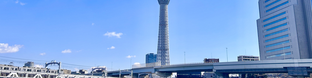 カテゴリー画像