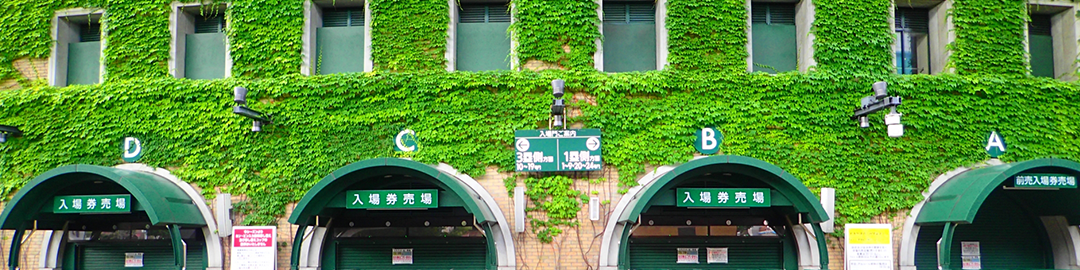 カテゴリー画像