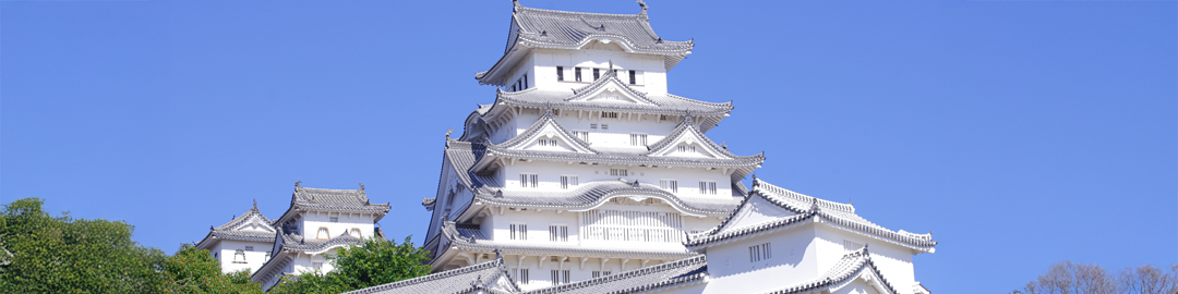 カテゴリー画像