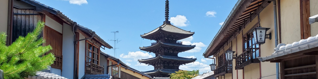 カテゴリー画像